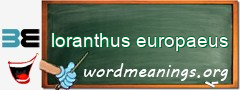 WordMeaning blackboard for loranthus europaeus